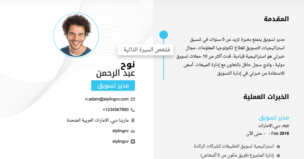 كتابة الهدف  او ملخص السيرة الذاتية