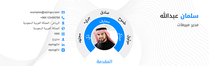 Contact Details 1 - كيفية كتابة سيرة ذاتية احترافية 2026: دليل خطوة بخطوة | StylingCV