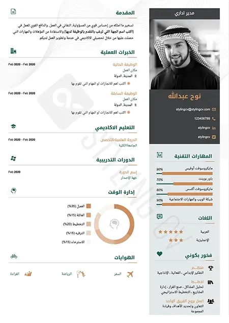 Ready Cv Template نموذج سيرة ذاتية