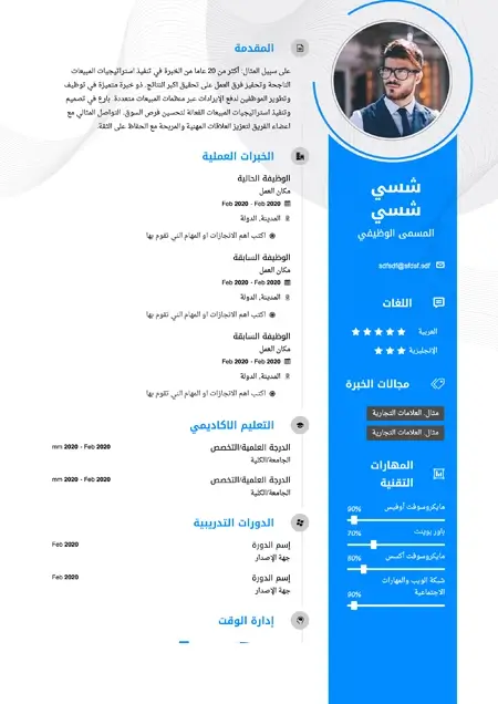 النموذج الشامل قالب سيرة ذاتية