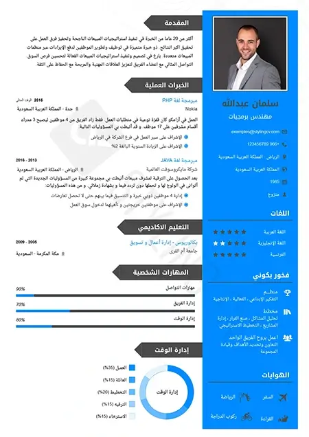 النموذج القياسي قالب سيرة ذاتية