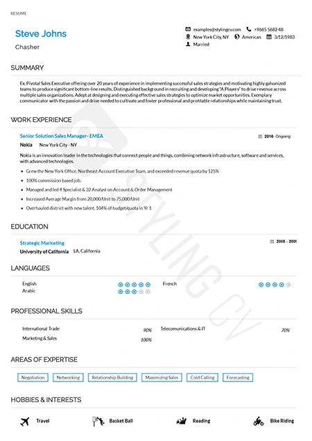 Classic resume template - timeless professional design