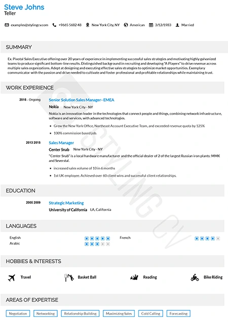 Static resume template - stable professional design