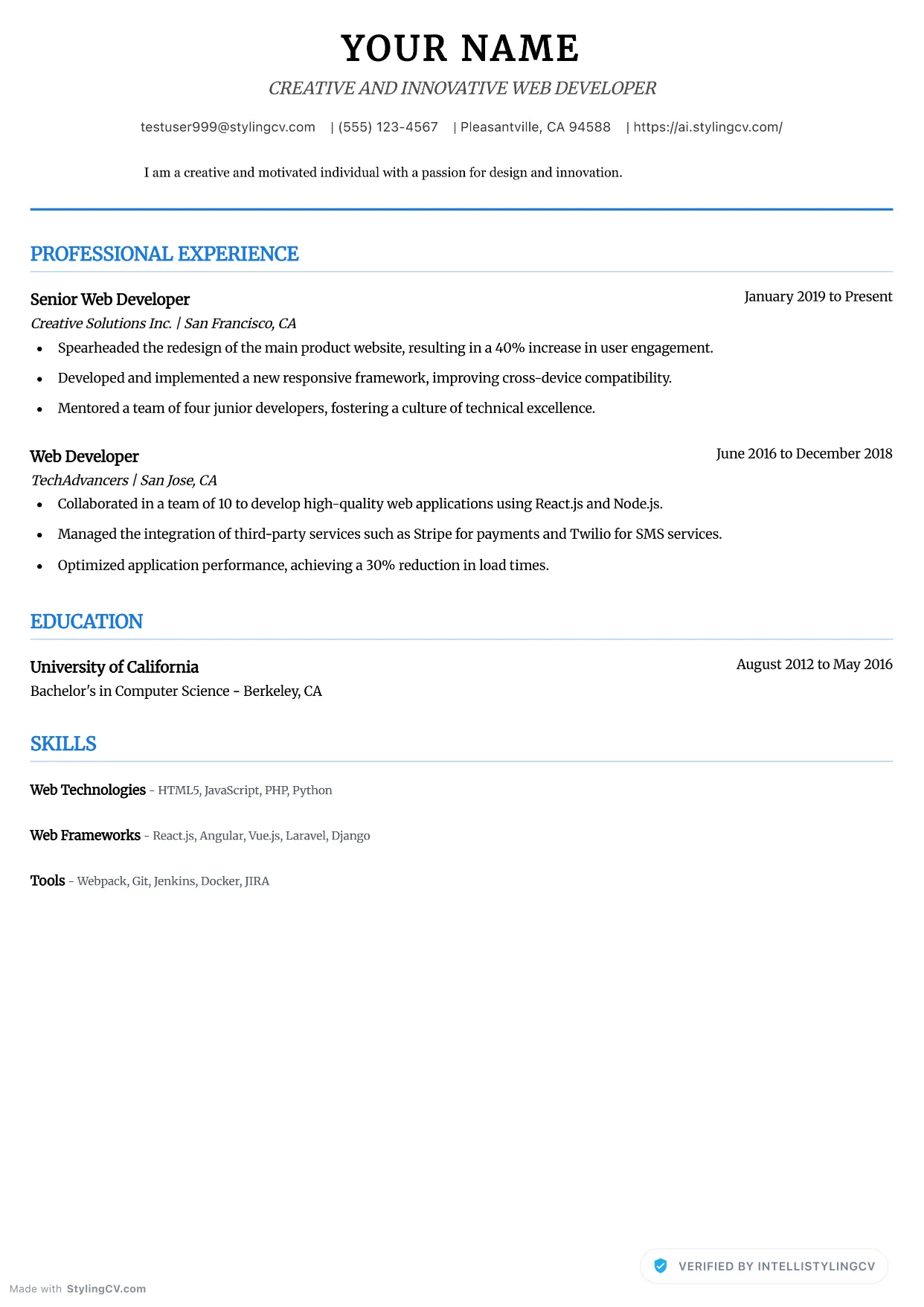 Executive Neat Resume Template