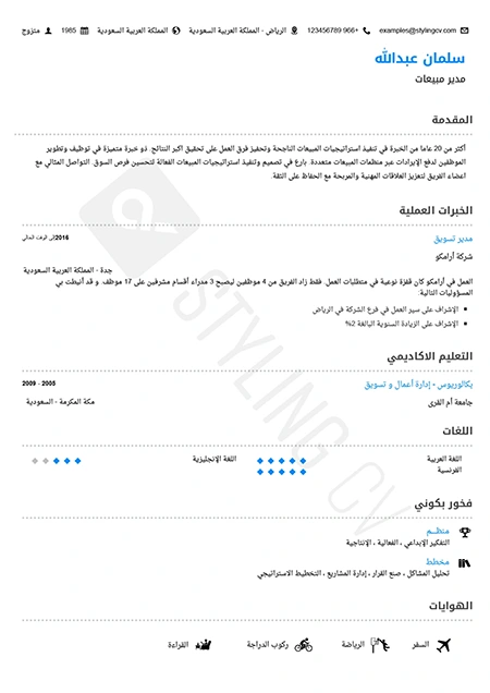 resume designed with StylingCV