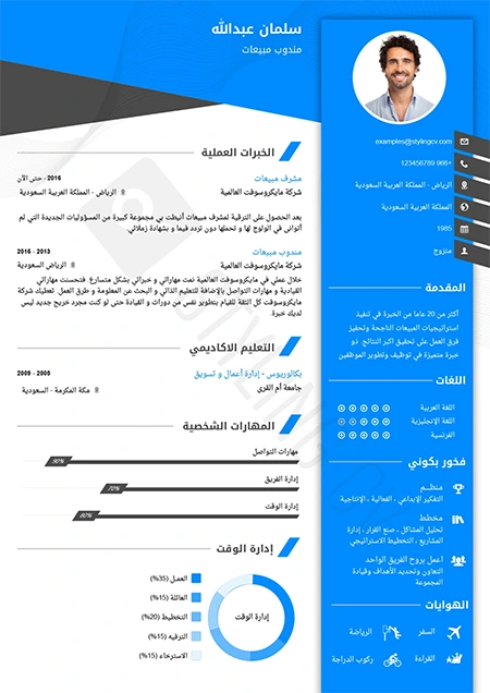 resume designed with StylingCV